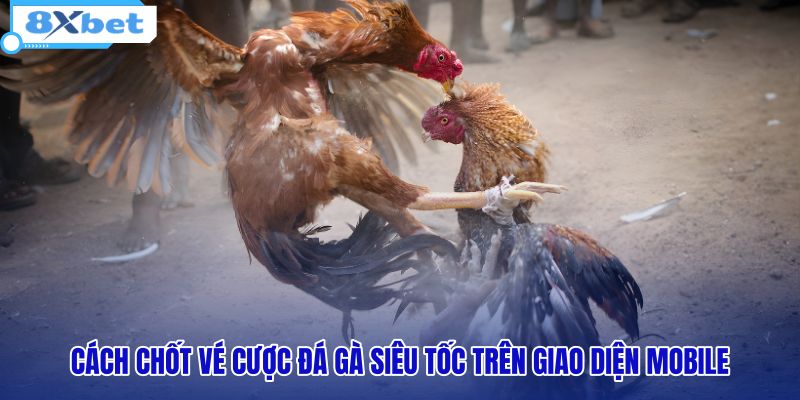cach-chot-ve-cuoc-da-ga-sieu-toc-tren-giao-dien-mobile
