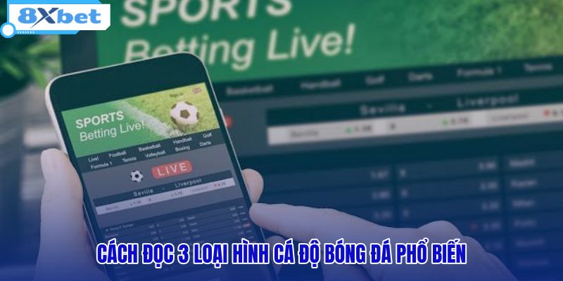 cach-doc-3-loai-hinh-ca-do-bong-da-pho-bien
