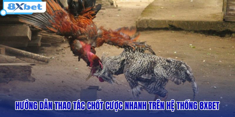 huong-dan-thao-tac-chot-cuoc-nhanh-tren-he-thong-8xbet