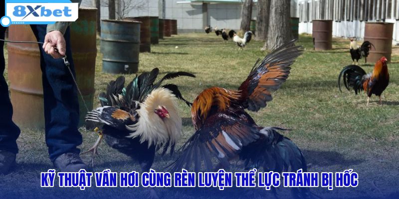 ky-thuat-van-hoi-cung-ren-luyen-the-luc-tranh-bi-hoc
