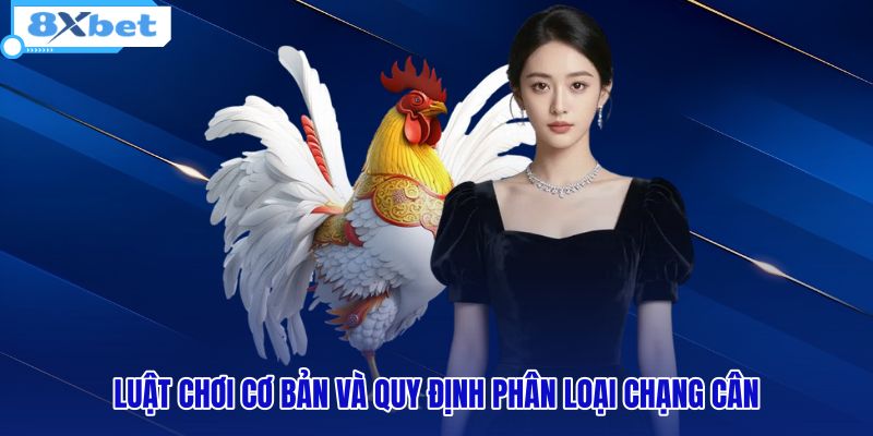 Quy định phân chạng cân và luật đà gà chuẩn mực
