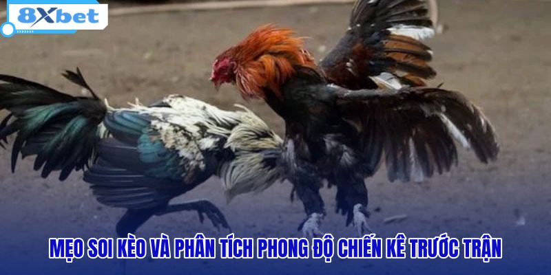 meo-soi-keo-va-phan-tich-phong-do-chien-ke-truoc-tran