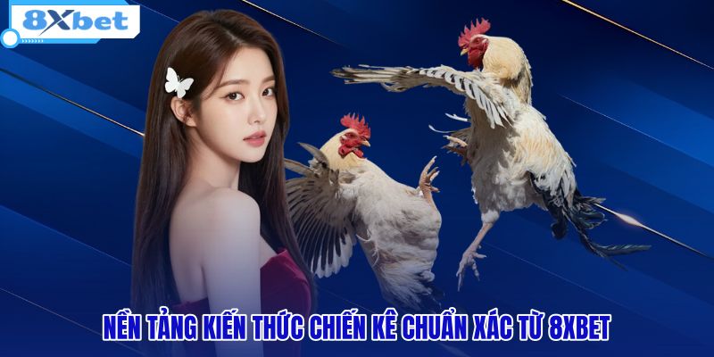 Hệ thống thông tin đà gà và phân loại hình thức thi đấu