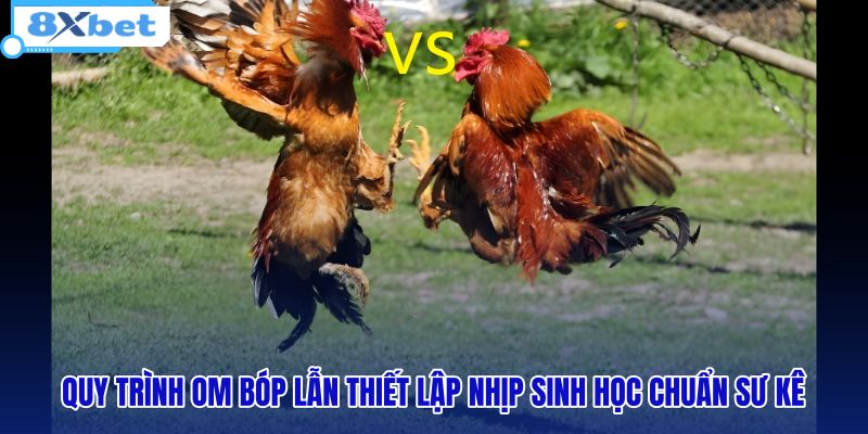 quy-trinh-om-bop-lan-thiet-lap-nhip-sinh-hoc-chuan-su-ke