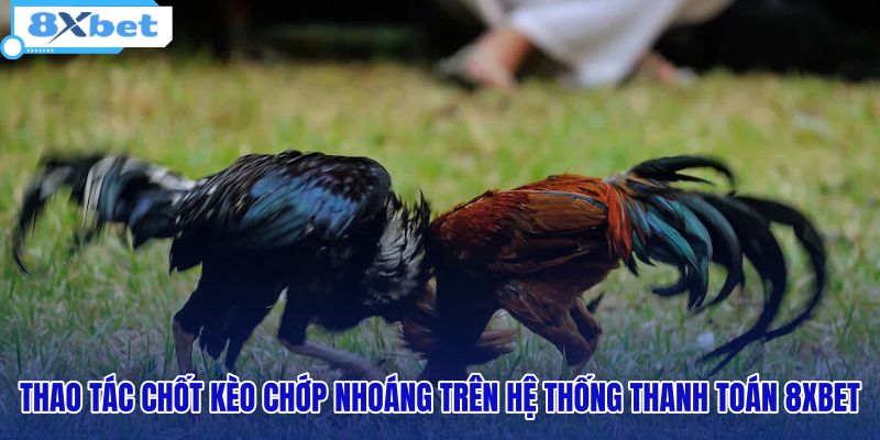 thao-tac-chot-keo-chop-nhoang-tren-he-thong-thanh-toan-8xbet