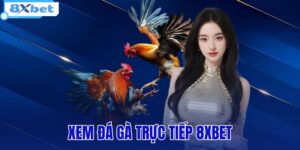 xem đá gà trực tiếp 8xbet