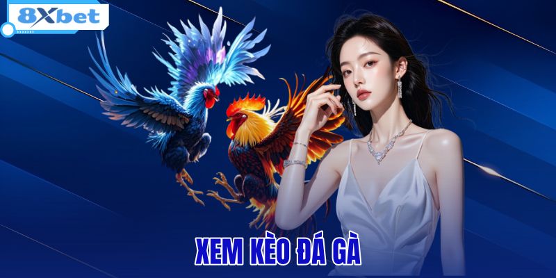 xem kèo đá gà